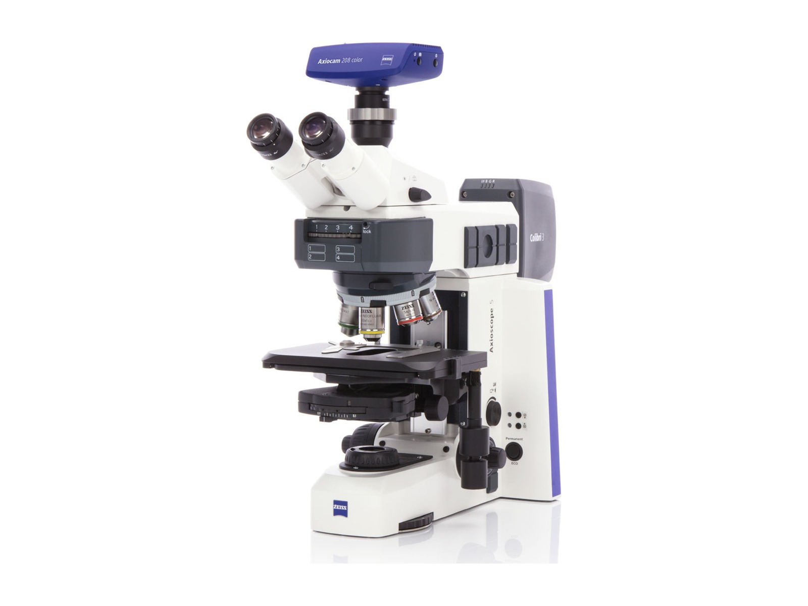 Microscopio ZEISS Axioscope 5 per routine biomedica e fluorescenza