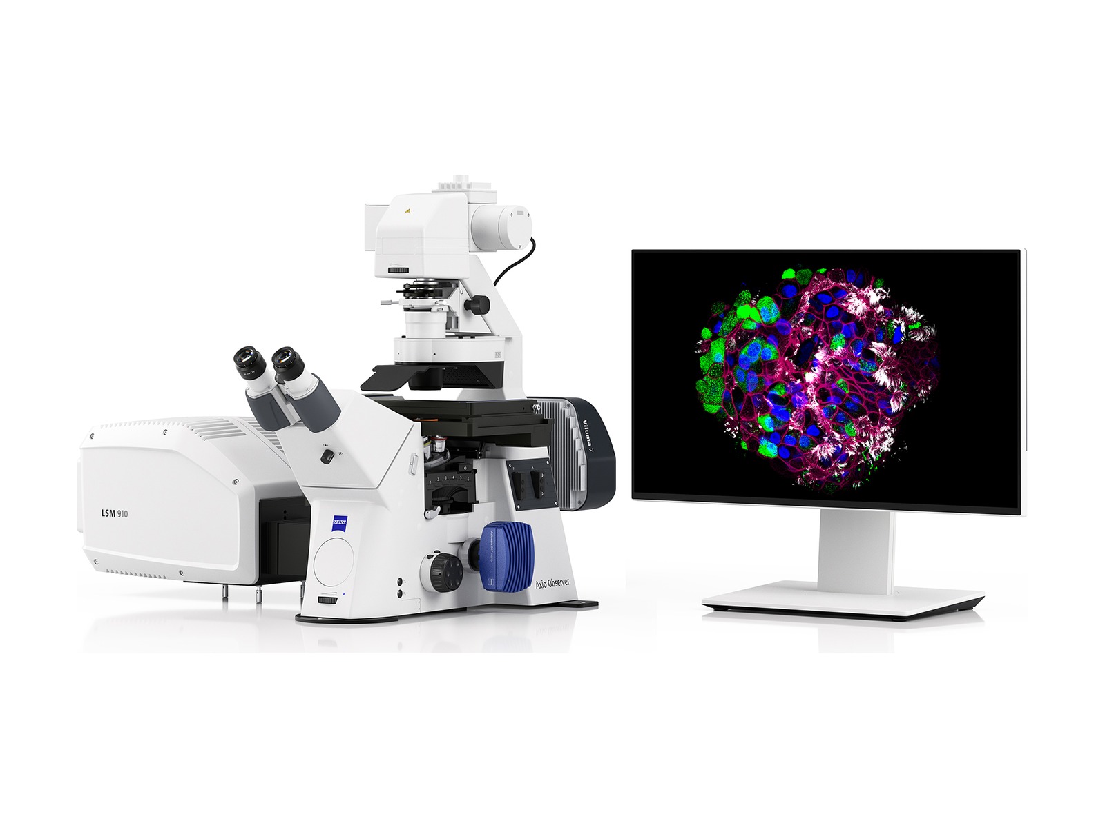 Microscopio confocale ZEISS LSM 910 per imaging e ricerca biologica