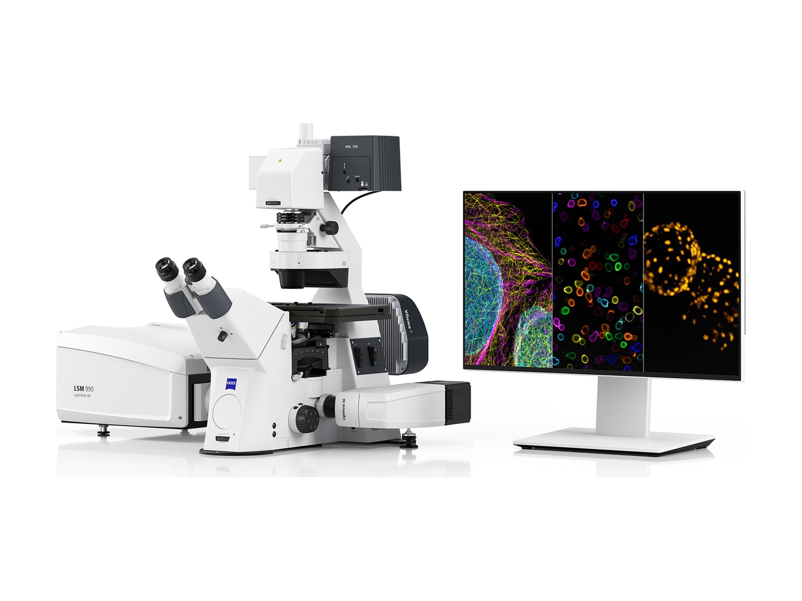 Microscopio confocale ZEISS LSM 990 per imaging multimodale e spettrale